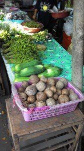 Bang Krachao – Jungle and local market in the middle of Bangkok