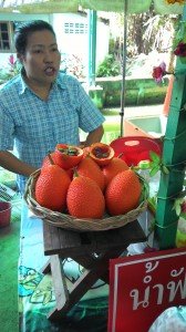 Bang Krachao – Jungle and local market in the middle of Bangkok